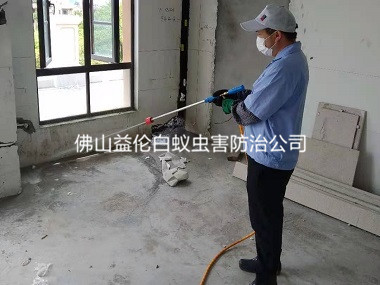 芦苞房屋装修预防白蚁