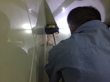 范湖白蚁消杀中心住宅防白蚁,这几步千万不能少!