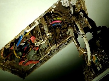 佛山杀灭白蚁站——白蚁能吃钢筋水泥吗?