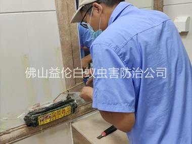 六和诱杀箱施药灭杀白蚁工程